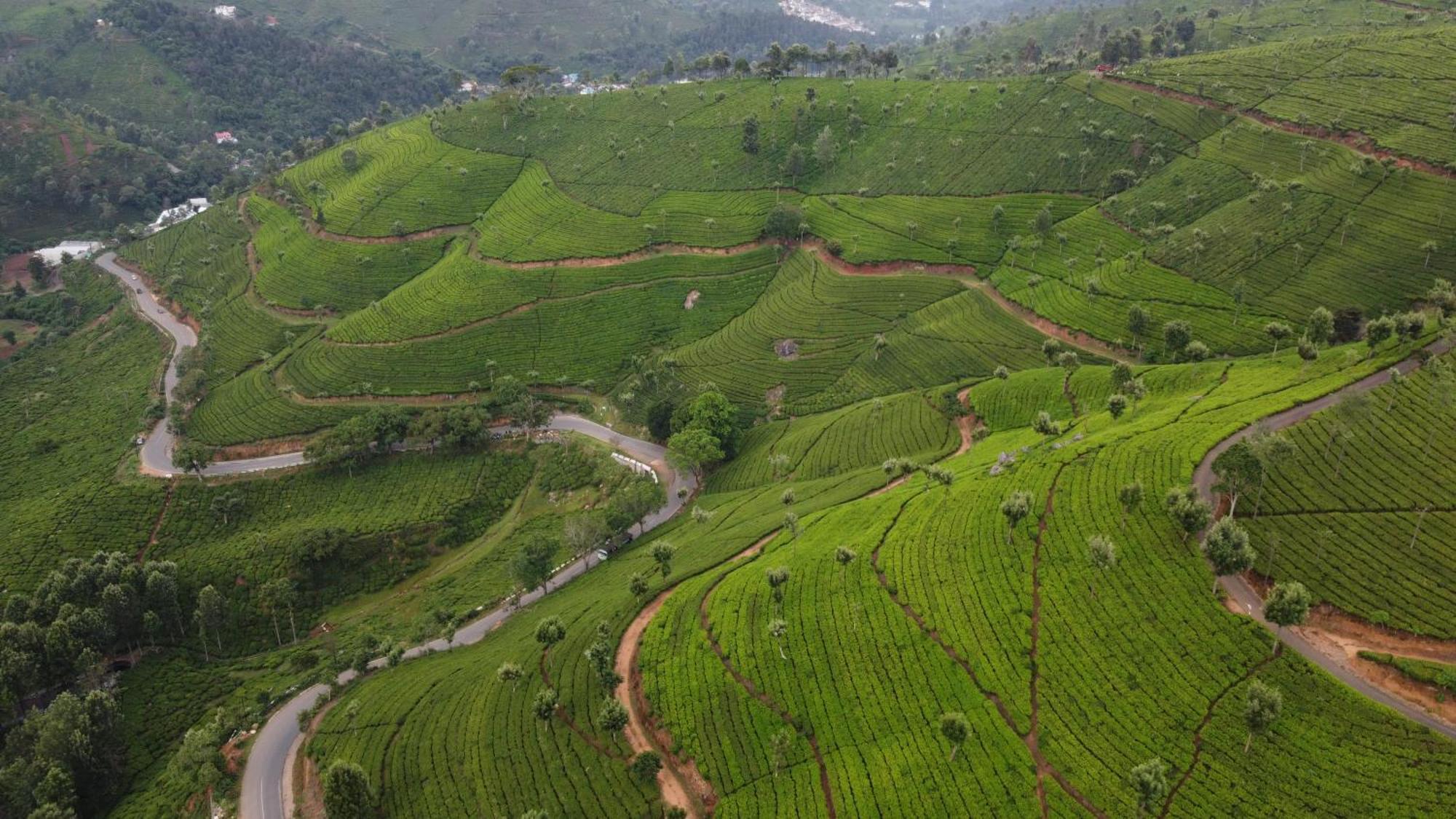 Casa De Selas Coonoor Exteriör bild